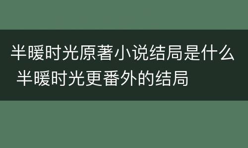 半暖时光原著小说结局是什么 半暖时光更番外的结局
