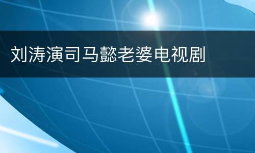 刘涛演司马懿老婆电视剧