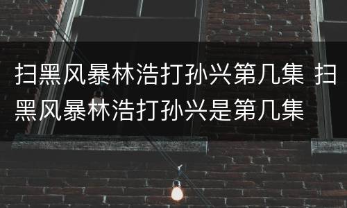 扫黑风暴林浩打孙兴第几集 扫黑风暴林浩打孙兴是第几集