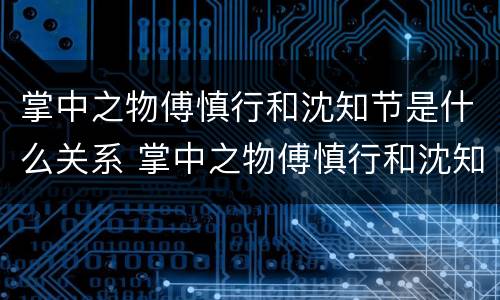 掌中之物傅慎行和沈知节是什么关系 掌中之物傅慎行和沈知节是什么关系