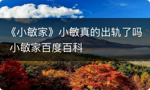 《小敏家》小敏真的出轨了吗 小敏家百度百科