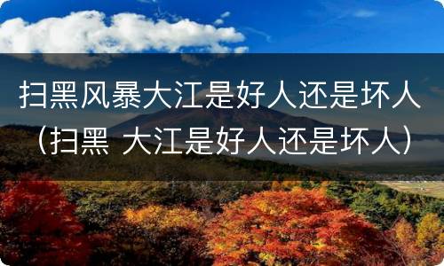 扫黑风暴大江是好人还是坏人（扫黑 大江是好人还是坏人）