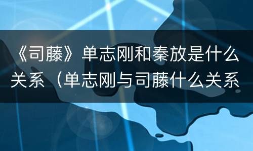 《司藤》单志刚和秦放是什么关系（单志刚与司藤什么关系）
