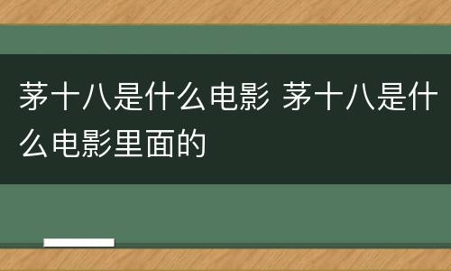 茅十八是什么电影 茅十八是什么电影里面的