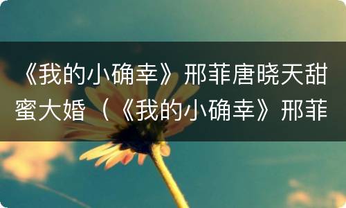 《我的小确幸》邢菲唐晓天甜蜜大婚（《我的小确幸》邢菲唐晓天甜蜜大婚是哪一集）