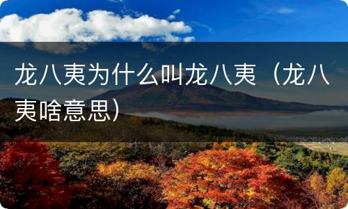 龙八夷为什么叫龙八夷（龙八夷啥意思）