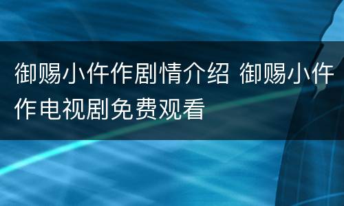 御赐小仵作剧情介绍 御赐小仵作电视剧免费观看
