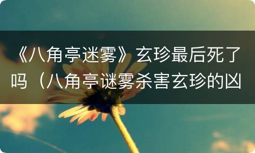 《八角亭迷雾》玄珍最后死了吗（八角亭谜雾杀害玄珍的凶手是谁）