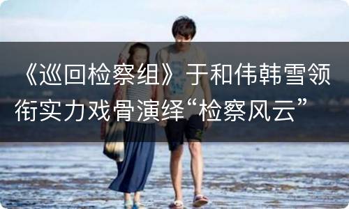 《巡回检察组》于和伟韩雪领衔实力戏骨演绎“检察风云”