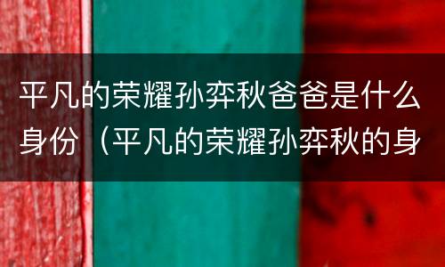 平凡的荣耀孙弈秋爸爸是什么身份（平凡的荣耀孙弈秋的身世）