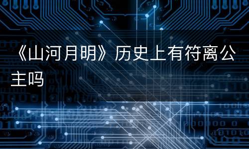 《山河月明》历史上有符离公主吗