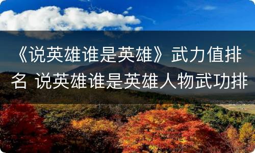 《说英雄谁是英雄》武力值排名 说英雄谁是英雄人物武功排名