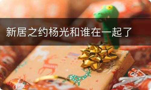 新居之约杨光和谁在一起了