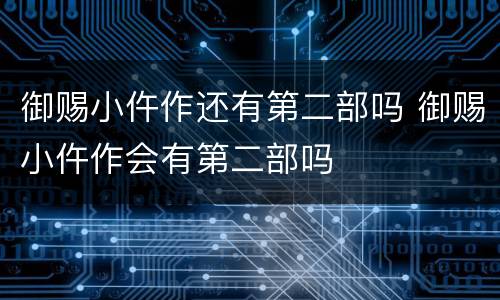 御赐小仵作还有第二部吗 御赐小仵作会有第二部吗