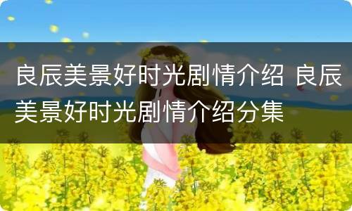 良辰美景好时光剧情介绍 良辰美景好时光剧情介绍分集