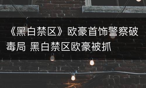 《黑白禁区》欧豪首饰警察破毒局 黑白禁区欧豪被抓