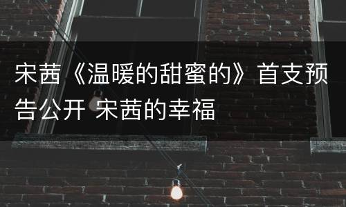 宋茜《温暖的甜蜜的》首支预告公开 宋茜的幸福