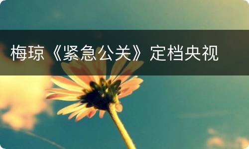 梅琼《紧急公关》定档央视