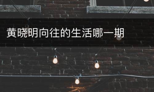 黄晓明向往的生活哪一期