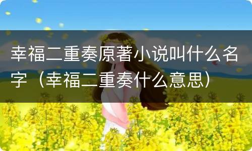 幸福二重奏原著小说叫什么名字（幸福二重奏什么意思）