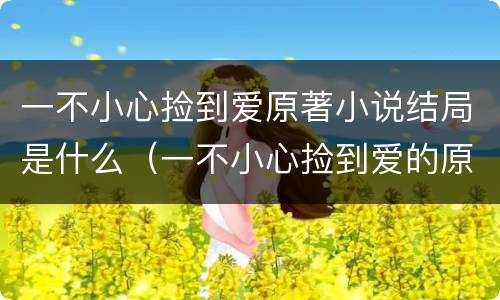 一不小心捡到爱原著小说结局是什么（一不小心捡到爱的原著小说）