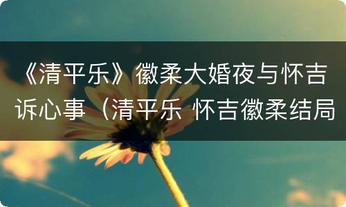 《清平乐》徽柔大婚夜与怀吉诉心事（清平乐 怀吉徽柔结局）