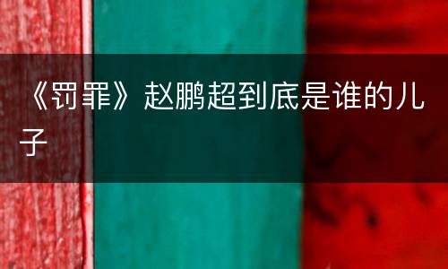 《罚罪》赵鹏超到底是谁的儿子