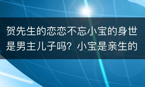 贺先生的恋恋不忘小宝的身世是男主儿子吗？小宝是亲生的吗？