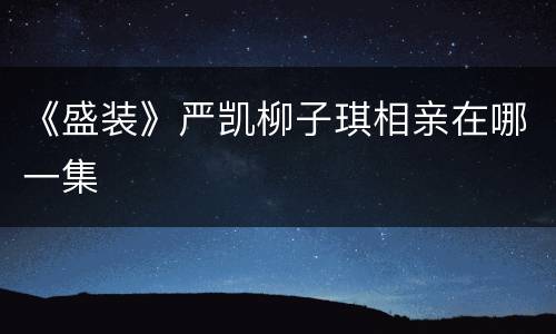 《盛装》严凯柳子琪相亲在哪一集