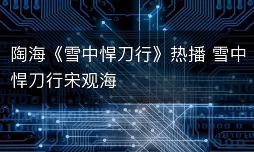 陶海《雪中悍刀行》热播 雪中悍刀行宋观海