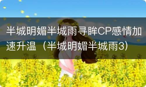 半城明媚半城雨寻眸CP感情加速升温（半城明媚半城雨3）