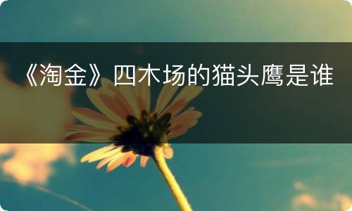 《淘金》四木场的猫头鹰是谁