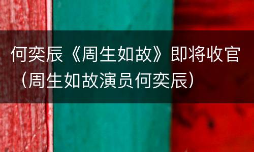 何奕辰《周生如故》即将收官（周生如故演员何奕辰）