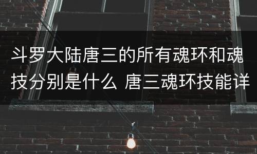 斗罗大陆唐三的所有魂环和魂技分别是什么 唐三魂环技能详解