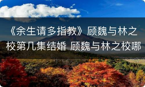 《余生请多指教》顾魏与林之校第几集结婚 顾魏与林之校哪一集在一起