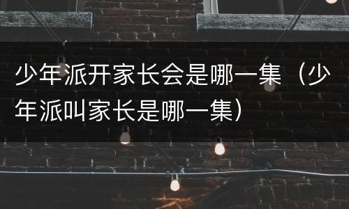 少年派开家长会是哪一集（少年派叫家长是哪一集）