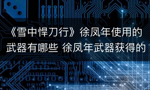 《雪中悍刀行》徐凤年使用的武器有哪些 徐凤年武器获得的方式