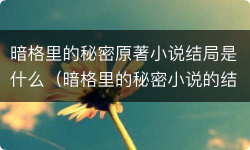暗格里的秘密原著小说结局是什么（暗格里的秘密小说的结局）