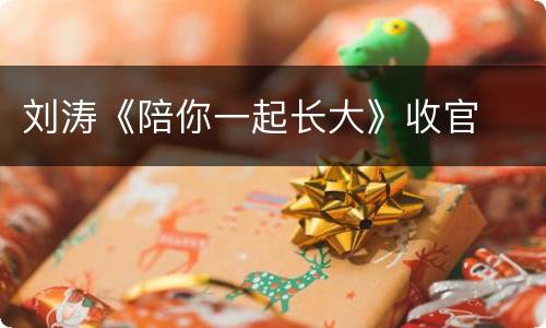 刘涛《陪你一起长大》收官