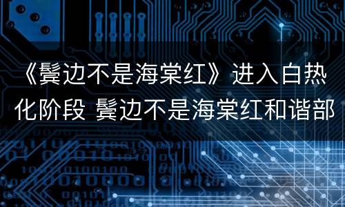 《鬓边不是海棠红》进入白热化阶段 鬓边不是海棠红和谐部分