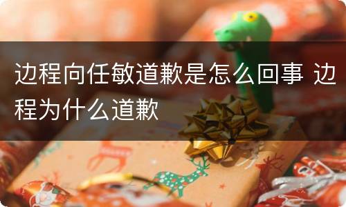 边程向任敏道歉是怎么回事 边程为什么道歉