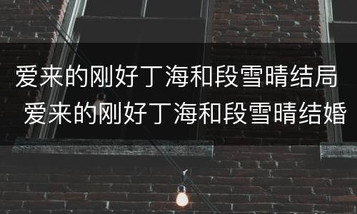 爱来的刚好丁海和段雪晴结局 爱来的刚好丁海和段雪晴结婚