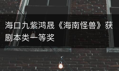 海口九紫鸿晟《海南怪兽》获剧本类一等奖