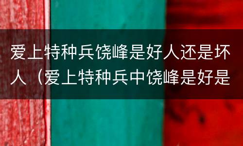 爱上特种兵饶峰是好人还是坏人（爱上特种兵中饶峰是好是坏）