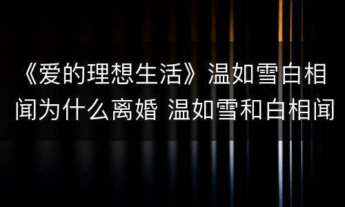 《爱的理想生活》温如雪白相闻为什么离婚 温如雪和白相闻会复合吗