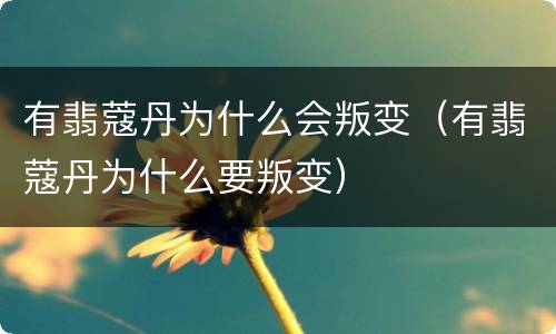 有翡蔻丹为什么会叛变（有翡蔻丹为什么要叛变）