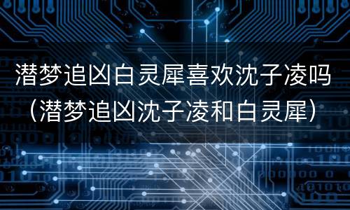 潜梦追凶白灵犀喜欢沈子凌吗（潜梦追凶沈子凌和白灵犀）