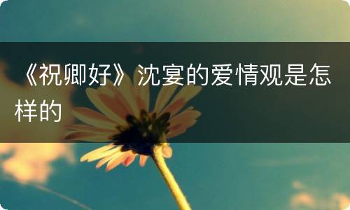 《祝卿好》沈宴的爱情观是怎样的