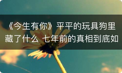 《今生有你》平平的玩具狗里藏了什么 七年前的真相到底如何