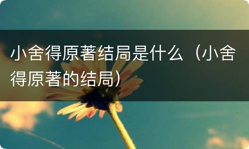 小舍得原著结局是什么（小舍得原著的结局）